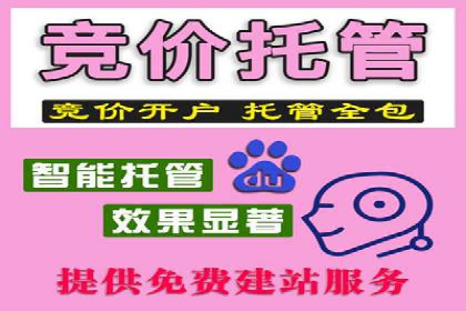解析百度竞价推广公司经典案例：精准营销的秘诀